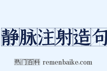 静脉注射造句是什么意思的图片